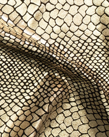 Free Fabric Samples Available! Create Your Dream Custom Swimsuit